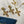 Load image into Gallery viewer, Enchant Gold Charm Pendant Earring