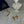 Load image into Gallery viewer, Enchant Grace Pearl Collection