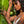 Load image into Gallery viewer, Enchant Luxe Luna Necklace